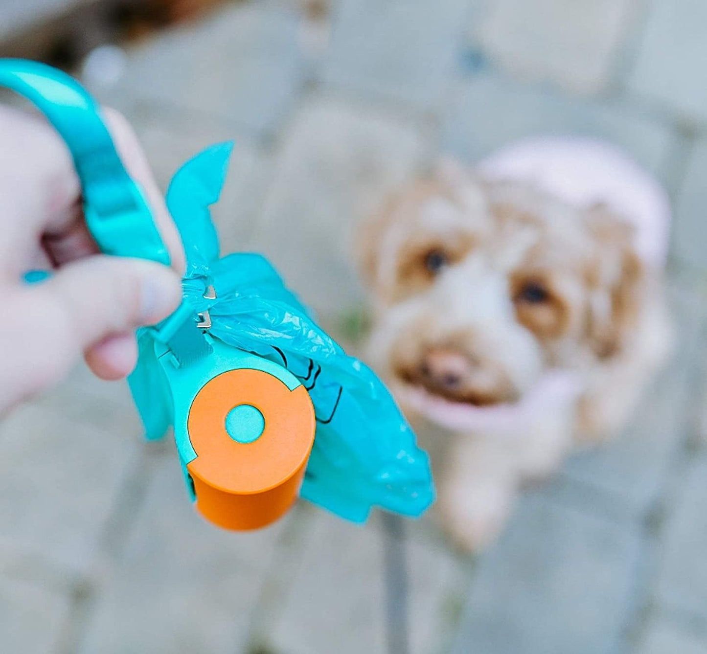 3 in 1 Dog Poop Bags Holder with Built-In LED Flashlight for Leash and Metal Clip for Hanging Used Bags Bi-Color Dog Poop Dispenser with Wristler(2 Holder 30 Bags, Blue&Black)
