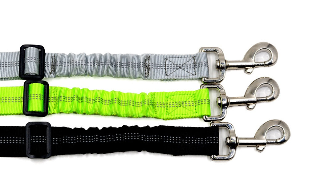 Seatbelt Leash for Pet Car Safety