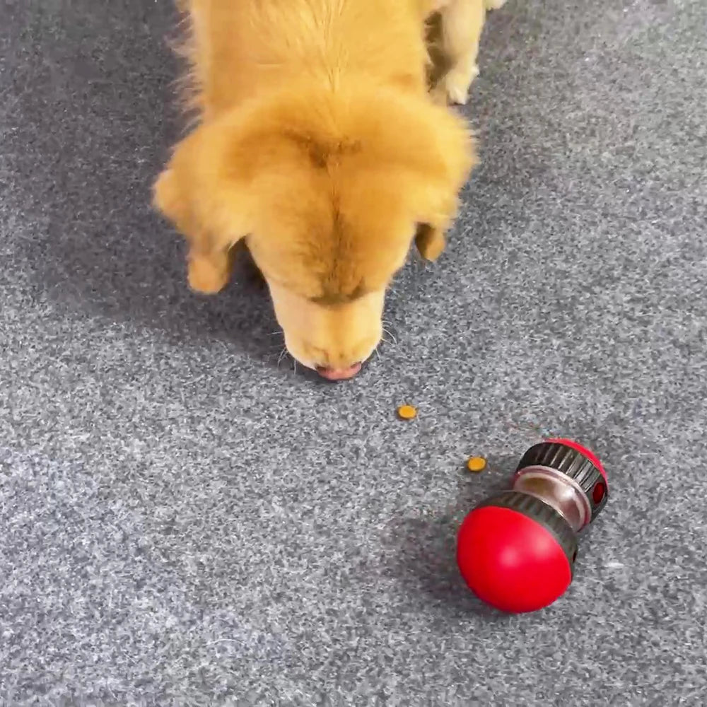 Slow Feeder Pet Toy