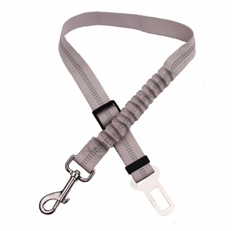 Seatbelt Leash for Pet Car Safety