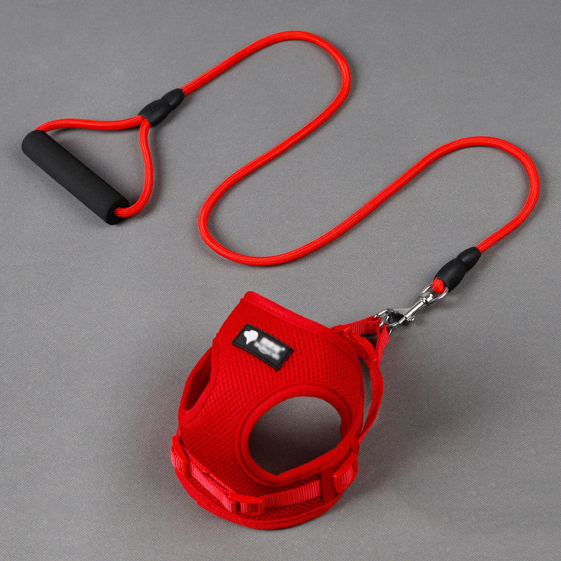 Red retractable dog leash with black handle on a gray background