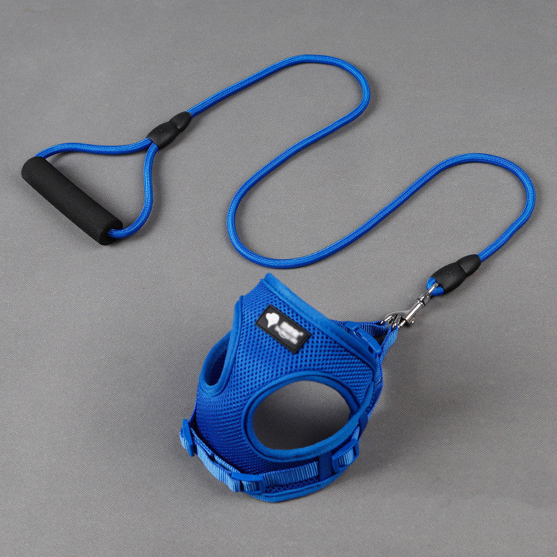 Blue pet harness and leash set on a gray background