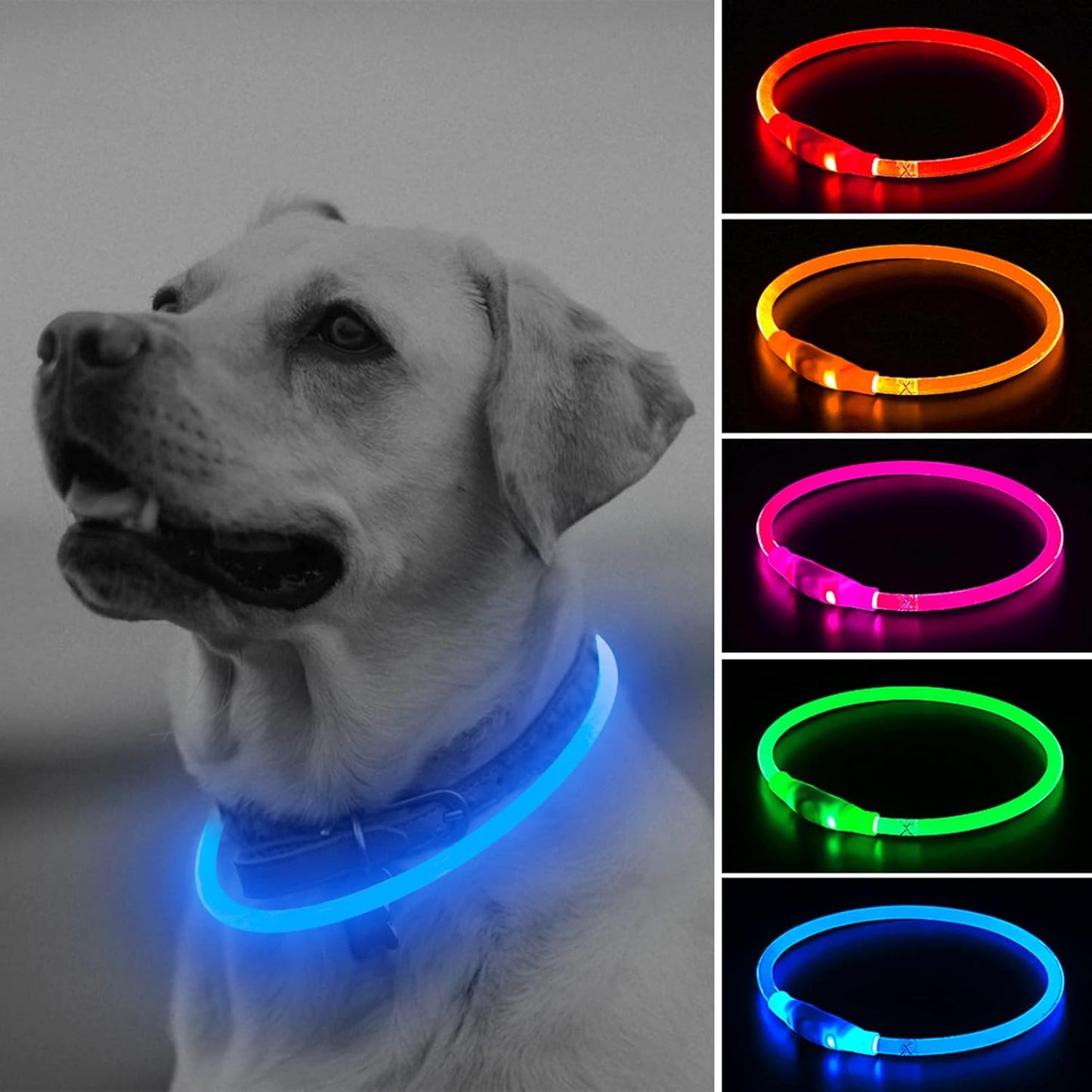 LED Dog Collar, USB Rechargeable Light up Dog Collars, TPU Cuttable Glow Dog Collar Lights for Night Walking (Orange)