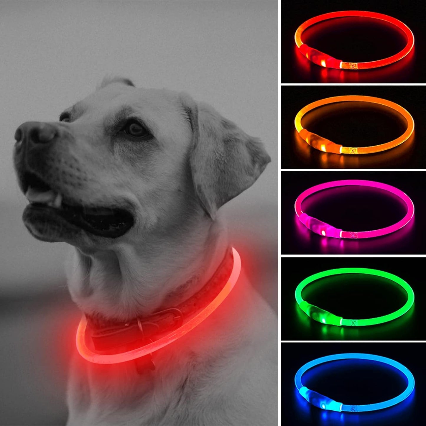 LED Dog Collar, USB Rechargeable Light up Dog Collars, TPU Cuttable Glow Dog Collar Lights for Night Walking (Orange)
