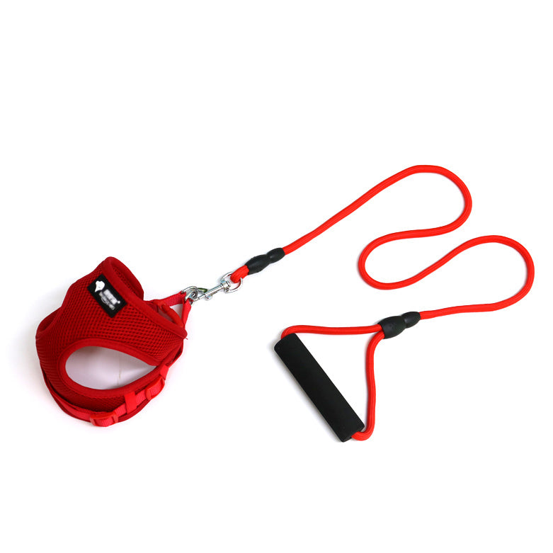 Red pet harness and leash set on a white background