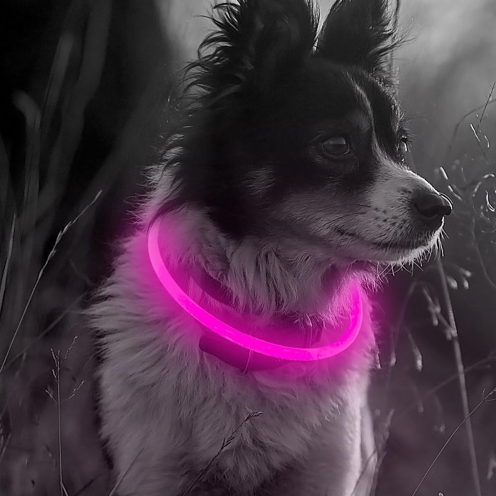 LED Dog Collar, USB Rechargeable Light up Dog Collars, TPU Cuttable Glow Dog Collar Lights for Night Walking (Orange)
