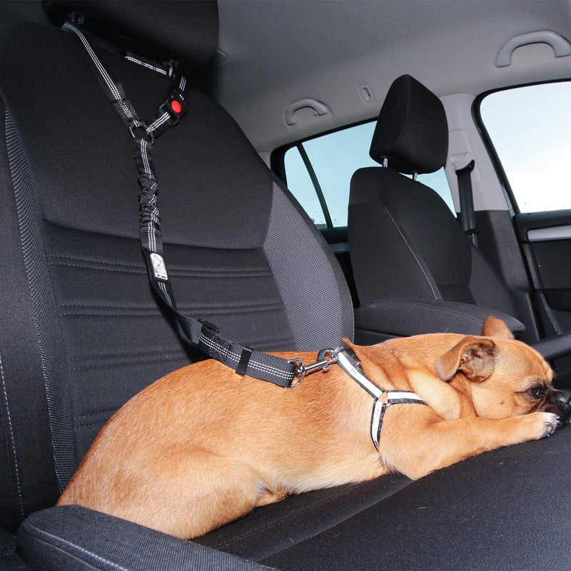 Seatbelt Leash for Pet Car Safety