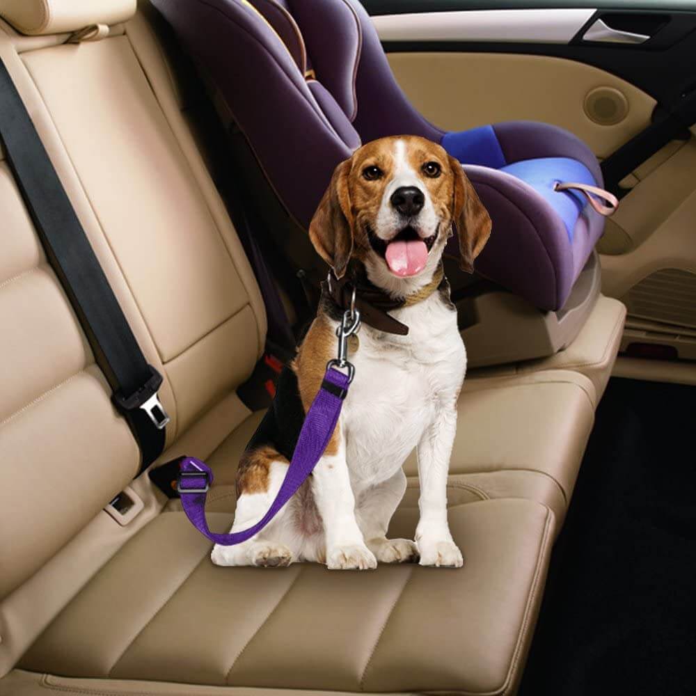 Seatbelt Leash for Pet Car Safety