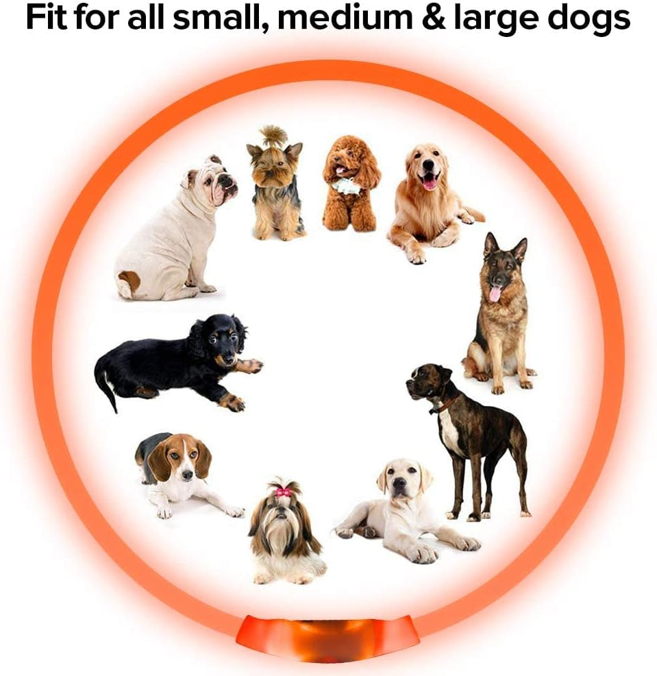LED Dog Collar, USB Rechargeable Light up Dog Collars, TPU Cuttable Glow Dog Collar Lights for Night Walking (Orange)