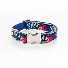Matching Pet Collar and Leash Set