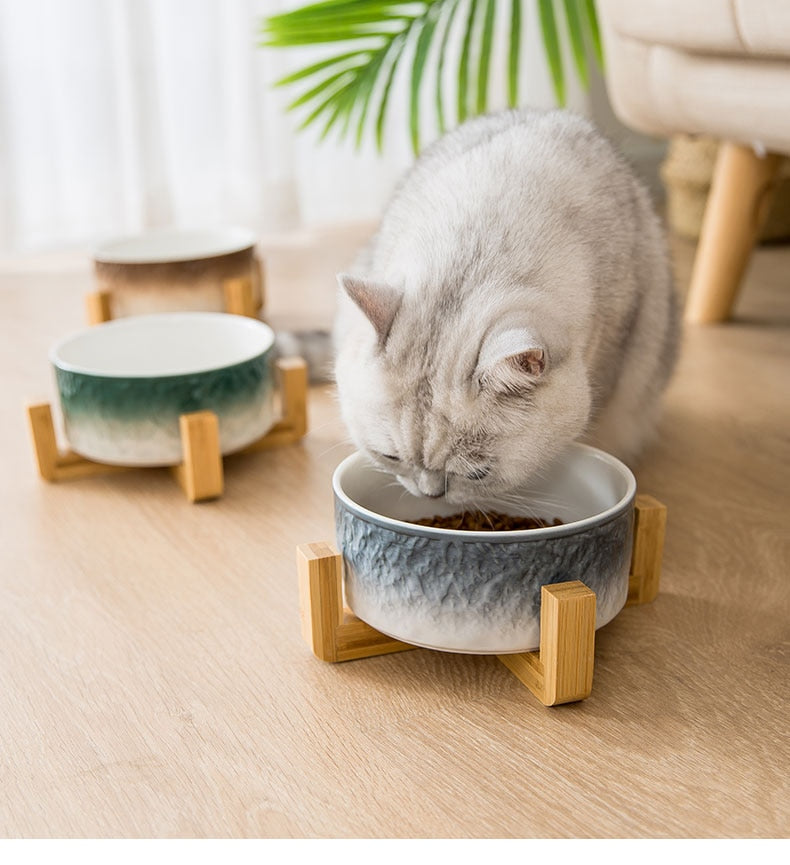 Cat eating from a ceramic bowl with wooden stand on a wooden floor.