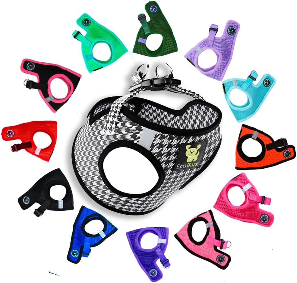 Reflective and Adjustable Teacup Harness 