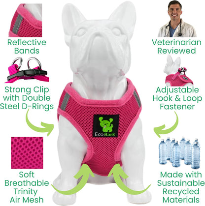 Reflective and Adjustable Teacup Harness 