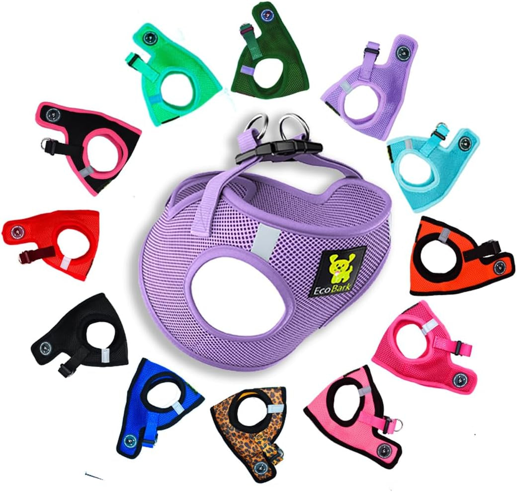 Reflective and Adjustable Teacup Harness 
