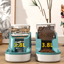 Dual Pet Water and Food Dispenser