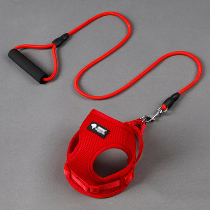 Red retractable dog leash with black handle on a gray background