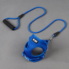 Blue pet harness and leash set on a gray background