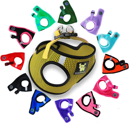 Reflective and Adjustable Teacup Harness 