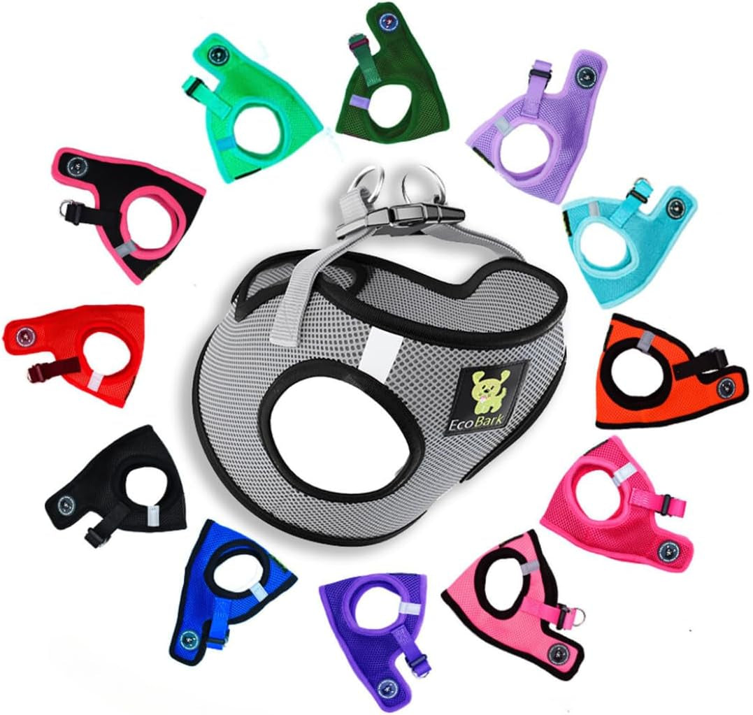 Reflective and Adjustable Teacup Harness 