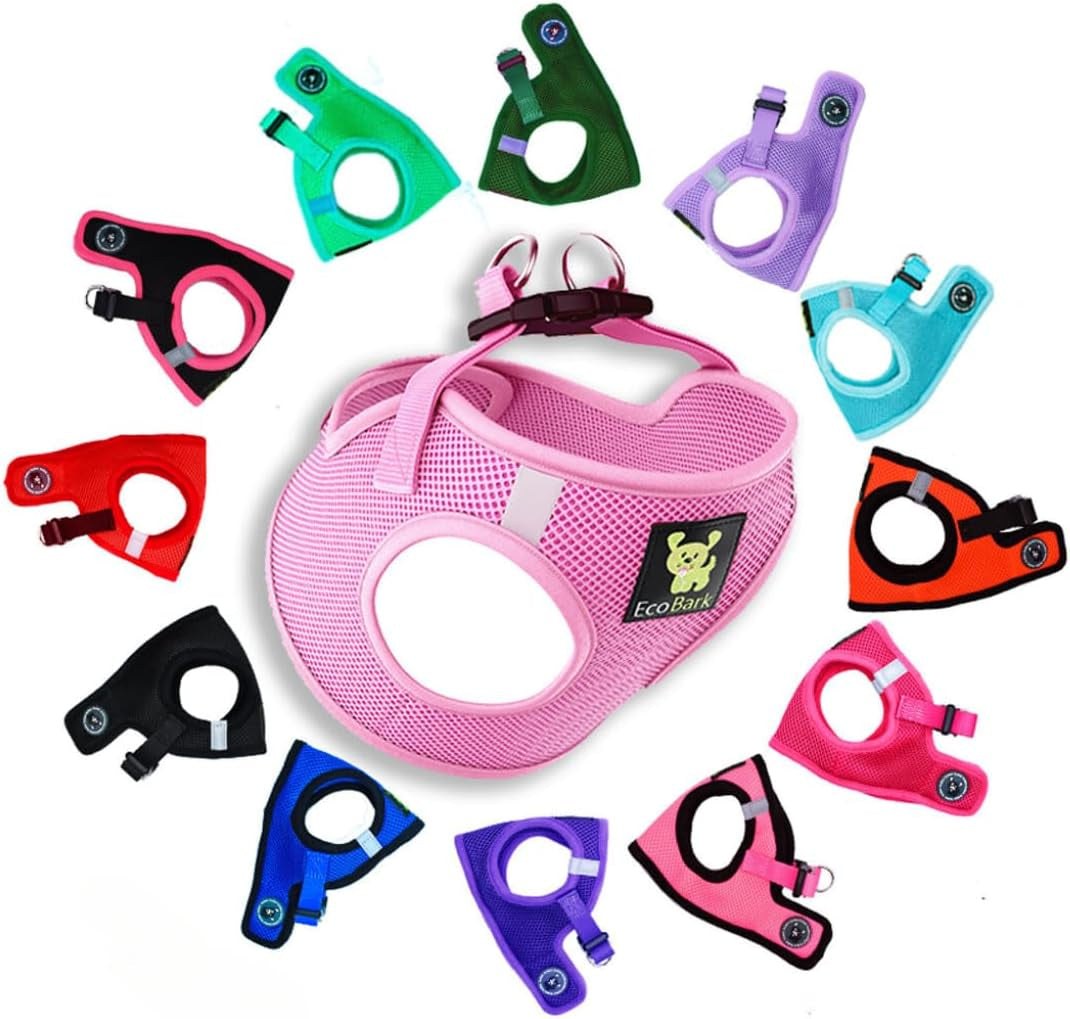 Reflective and Adjustable Teacup Harness 
