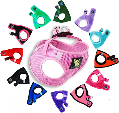 Reflective and Adjustable Teacup Harness 