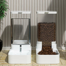 Steady-Feed Automatic Feeder for Pets