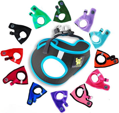 Reflective and Adjustable Teacup Harness 