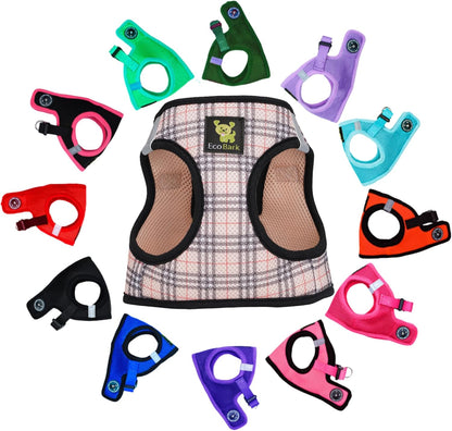 Reflective and Adjustable Teacup Harness 