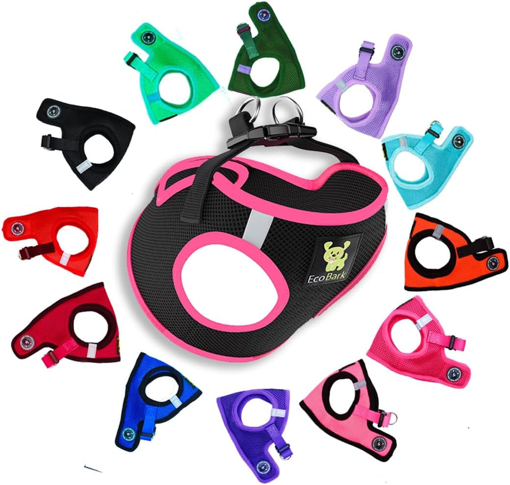 Reflective and Adjustable Teacup Harness 
