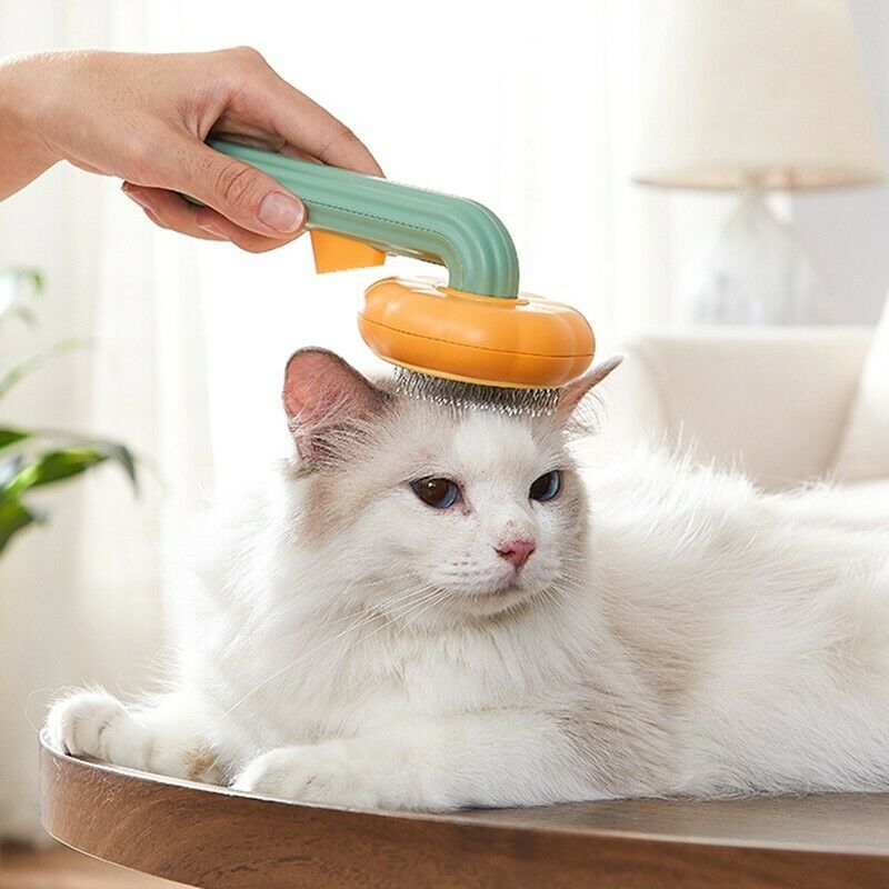 Pumpkin Design Grooming Comb for Pets