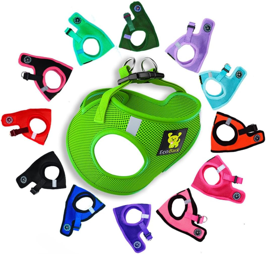 Reflective and Adjustable Teacup Harness 