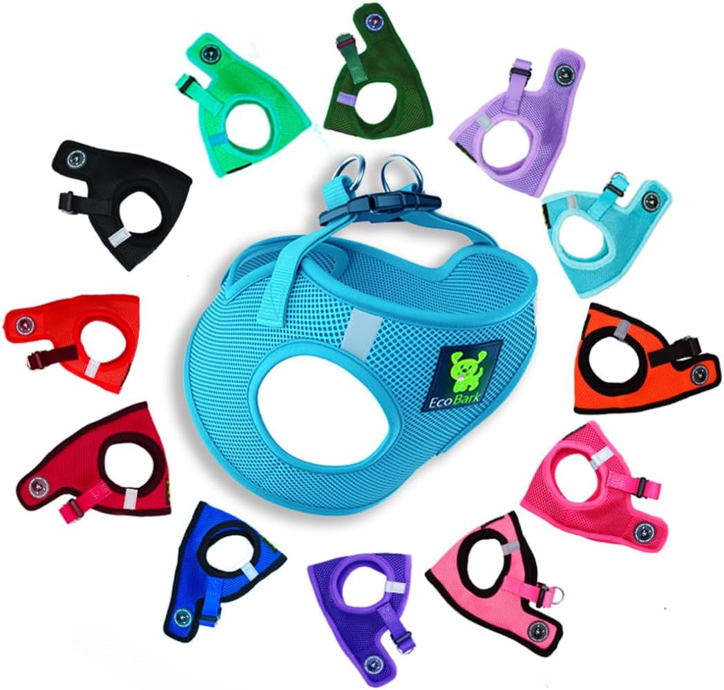 Reflective and Adjustable Teacup Harness 