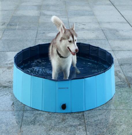 Foldable Pet Pool for Bath & Swim
