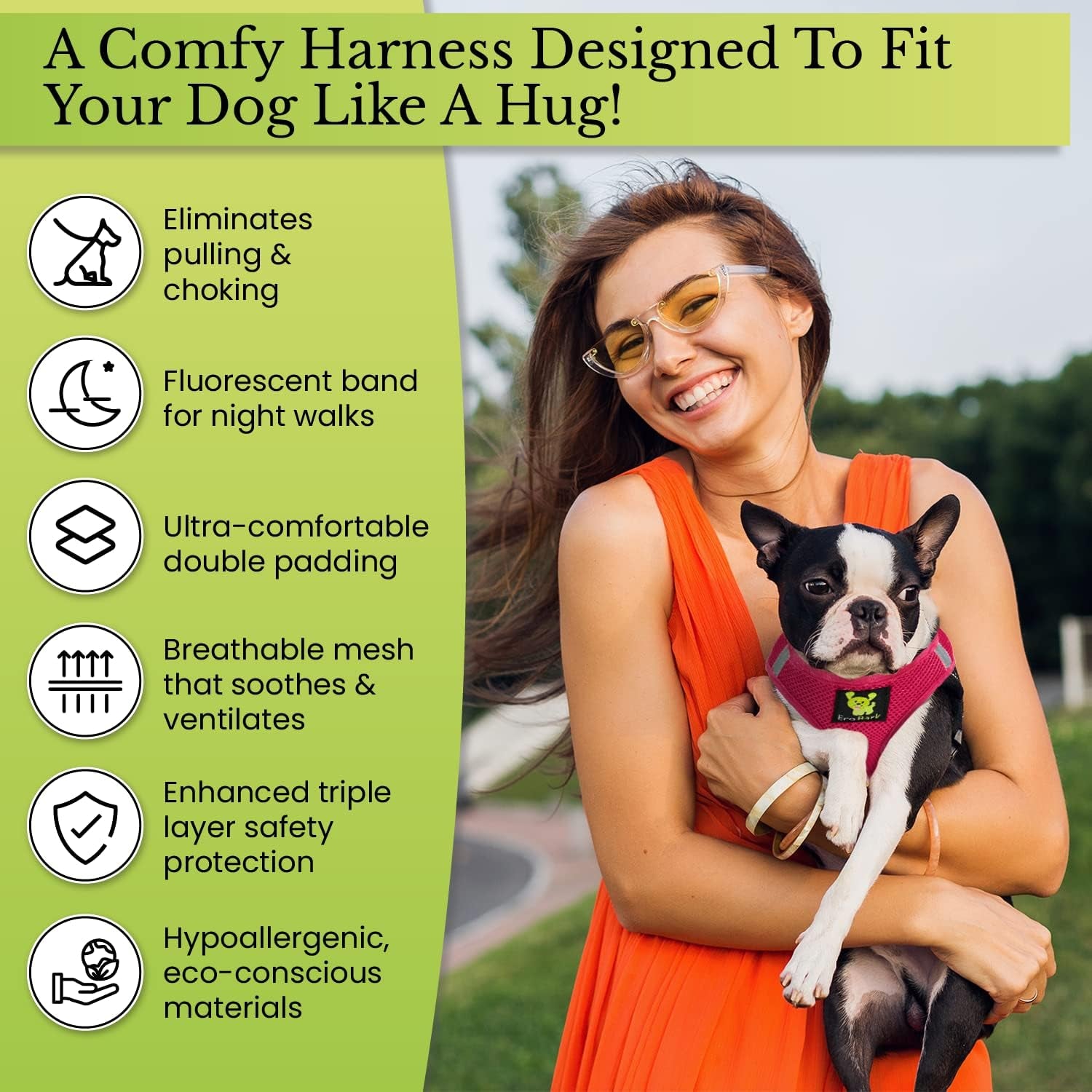 Reflective and Adjustable Teacup Harness 