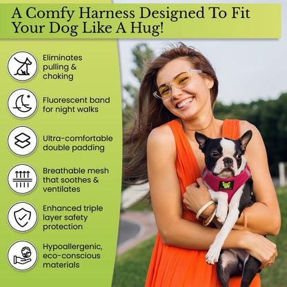 Reflective and Adjustable Teacup Harness 