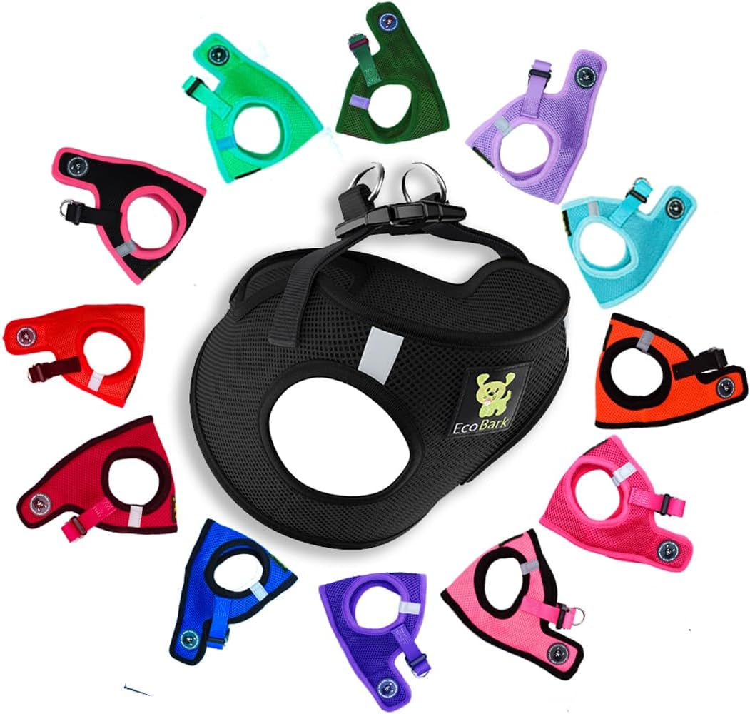 Reflective and Adjustable Teacup Harness 