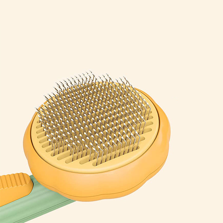 Pumpkin Design Grooming Comb for Pets