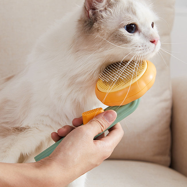Pumpkin Design Grooming Comb for Pets
