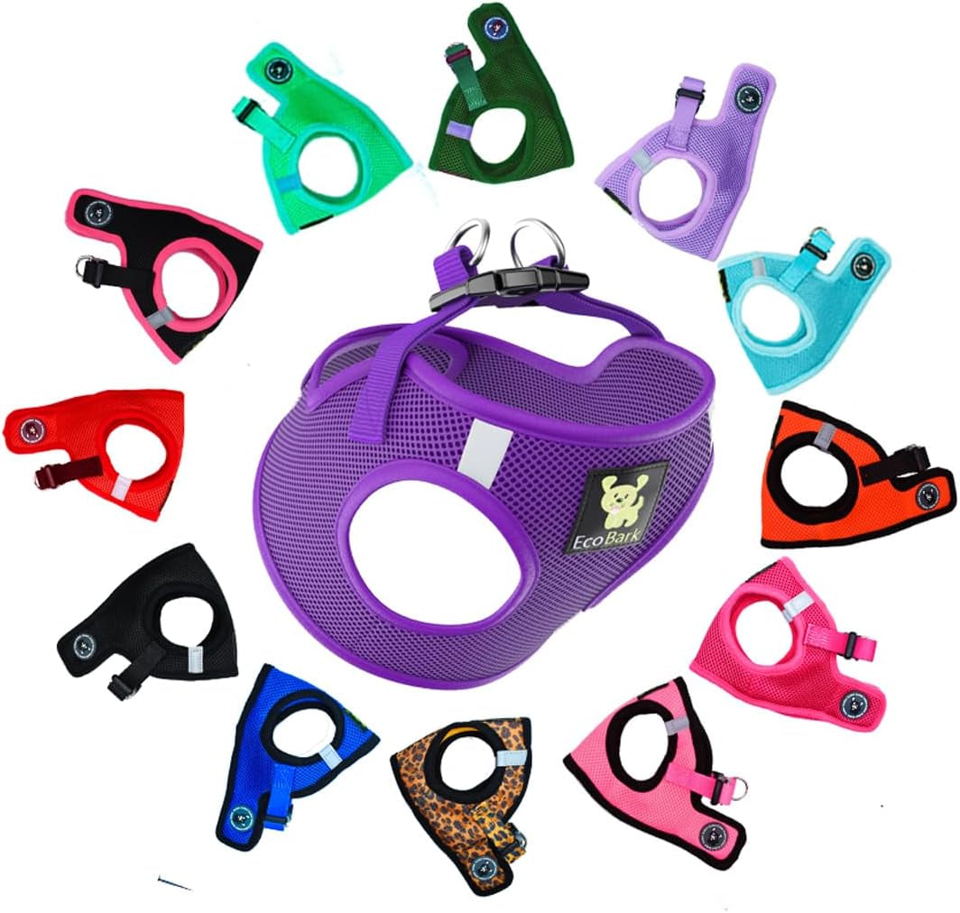Reflective and Adjustable Teacup Harness 