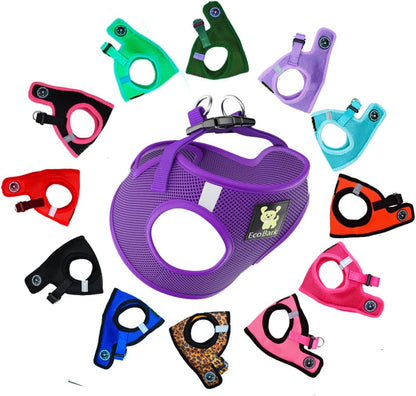 Reflective and Adjustable Teacup Harness 