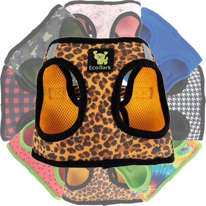 Reflective and Adjustable Teacup Harness 