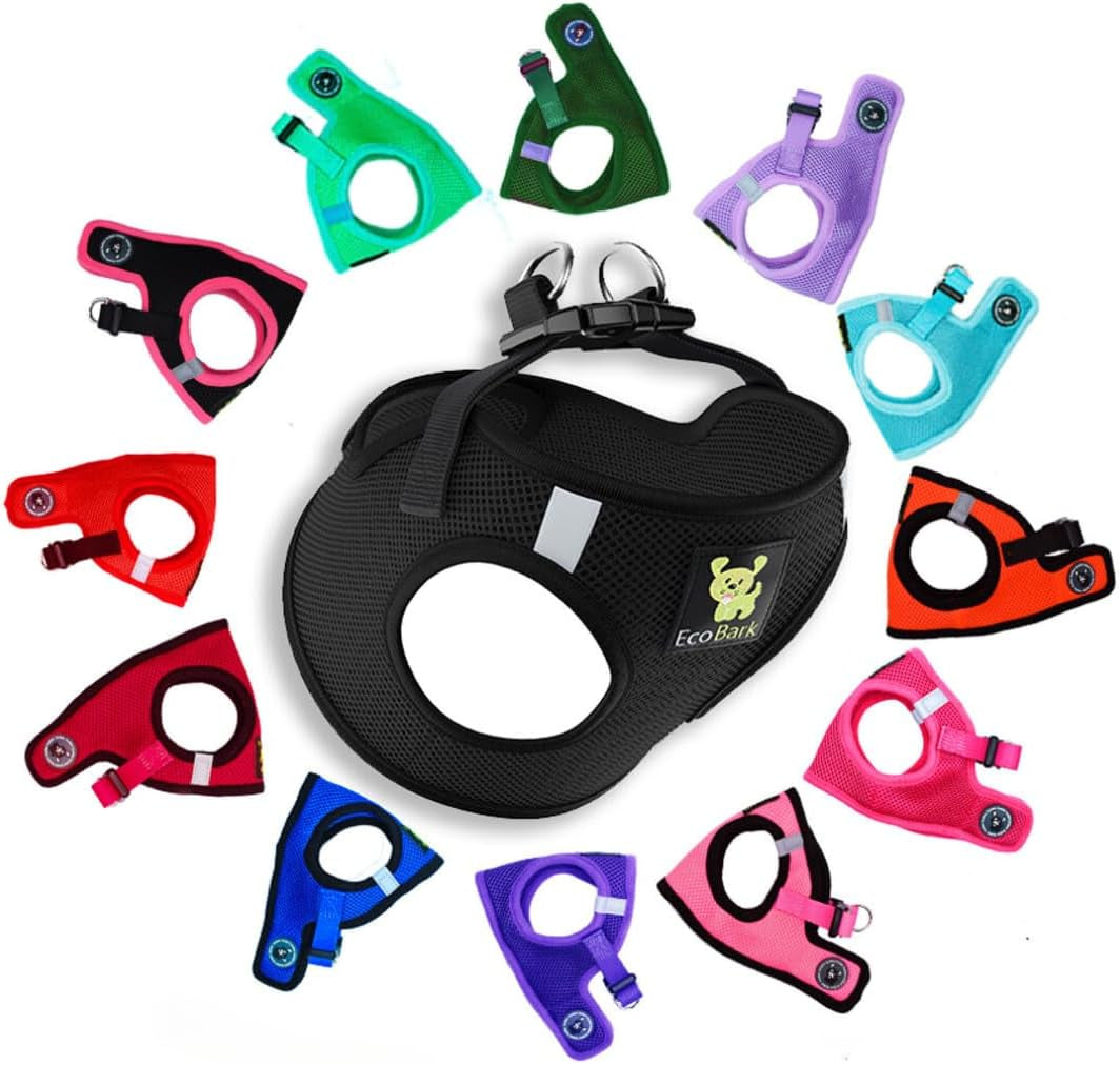 Reflective and Adjustable Teacup Harness 