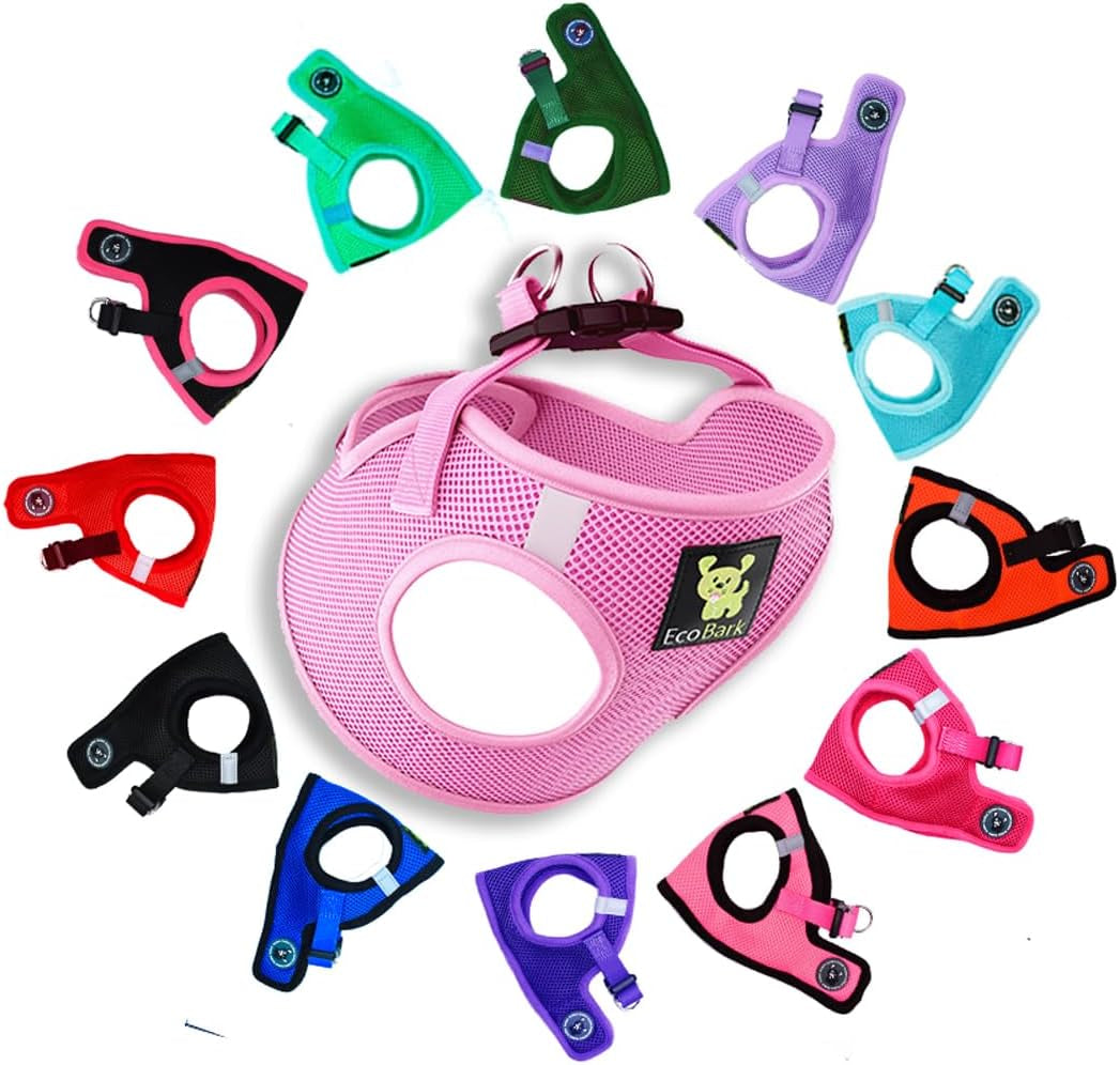 Reflective and Adjustable Teacup Harness 