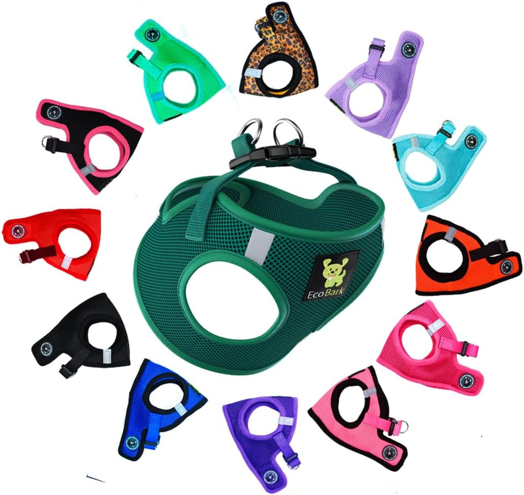 Reflective and Adjustable Teacup Harness 
