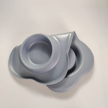 Large Double Pet Bowl with Silicone Mat